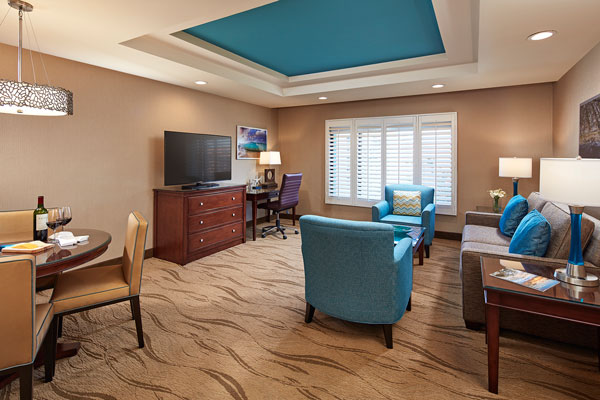 Overview of the Spa Suite room